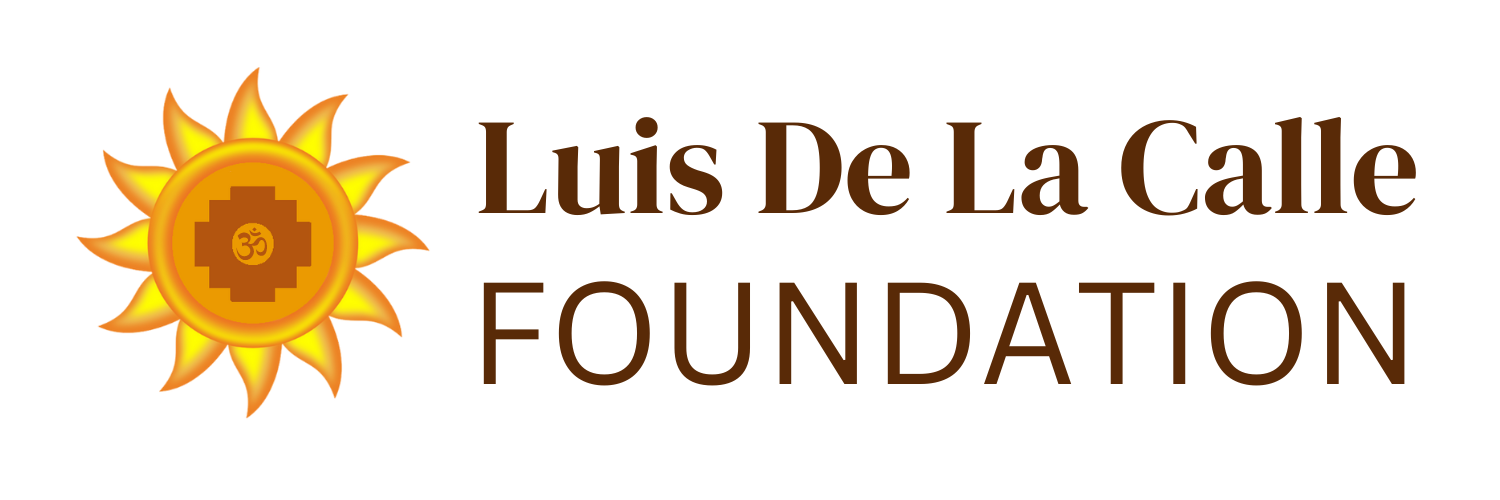 LDLC Foundation logo fondo blanco